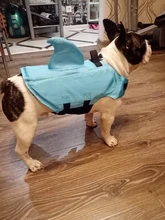Chaleco salvavidas para perro, chaqueta salvavidas, ropa de baño para perros, traje de baño para mascotas, forma de tiburón