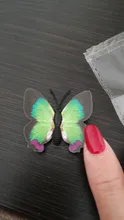 Wedding-Decoration House Artificial Butterfly Plastic 12pcs 8-Colors 5cm Scrapbooking