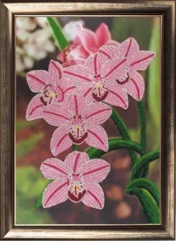 

208 set for embroidery with beads butterfly 'орхидеи', 36*25 cm
