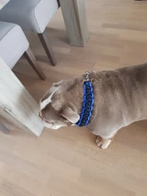 Large Dog Collar-Set Traction-Rope Leashes P-Chain Metal for Big Buckle