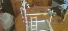 Perch-Stand Ladder Feeder Playground Bird Parrot with Wooden Platform Gym Cups Interactive-Toys