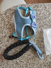 Breakaway Cat Collar Cute Bow Vests Cat Harness and Leash Cat Product Cat Accessories
