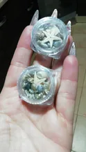 Caja de Mini conchas de estrellas de mar para decoración de uñas, adornos de estrellas de mar, herramientas de manicura, 1/2/5 unidades