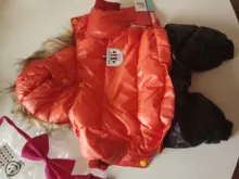 Jacket Jumpsuit Coat Puppy Waterproof Winter PET Warm PETASIA for Chihuahuas Small Large