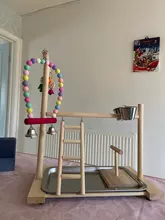 Perch-Stand Ladder Feeder Playground Bird Parrot with Wooden Platform Gym Cups Interactive-Toys