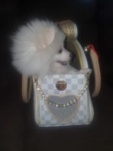 Dog Carriers Travel Handbag Tote-Bag Puppies Hiking Outdoor Fashion Luxury 