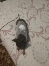 Jacket Outfits Dog Coat Pug-Costume Small Dogs Soft Chihuahua Cartoon Fleece Winter Warm