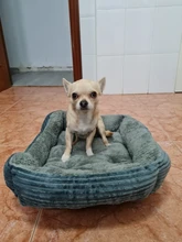 Cushion Beds Sofa-Bed Kennel Pet-House Puppy Sleeping-Bag Dogs Small Kota Cat Winter