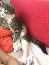 Tunic Tops Shirts Cardigan Linen Lapel Long-Sleeve ZANZEA Vintage Plus-Size Casual Cotton