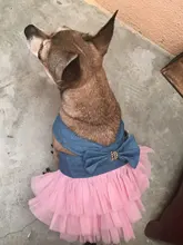 Dress Sling Puppy-Costume Pet-Dog Lace Small Dog Wedding for Party Birthday Bowknot