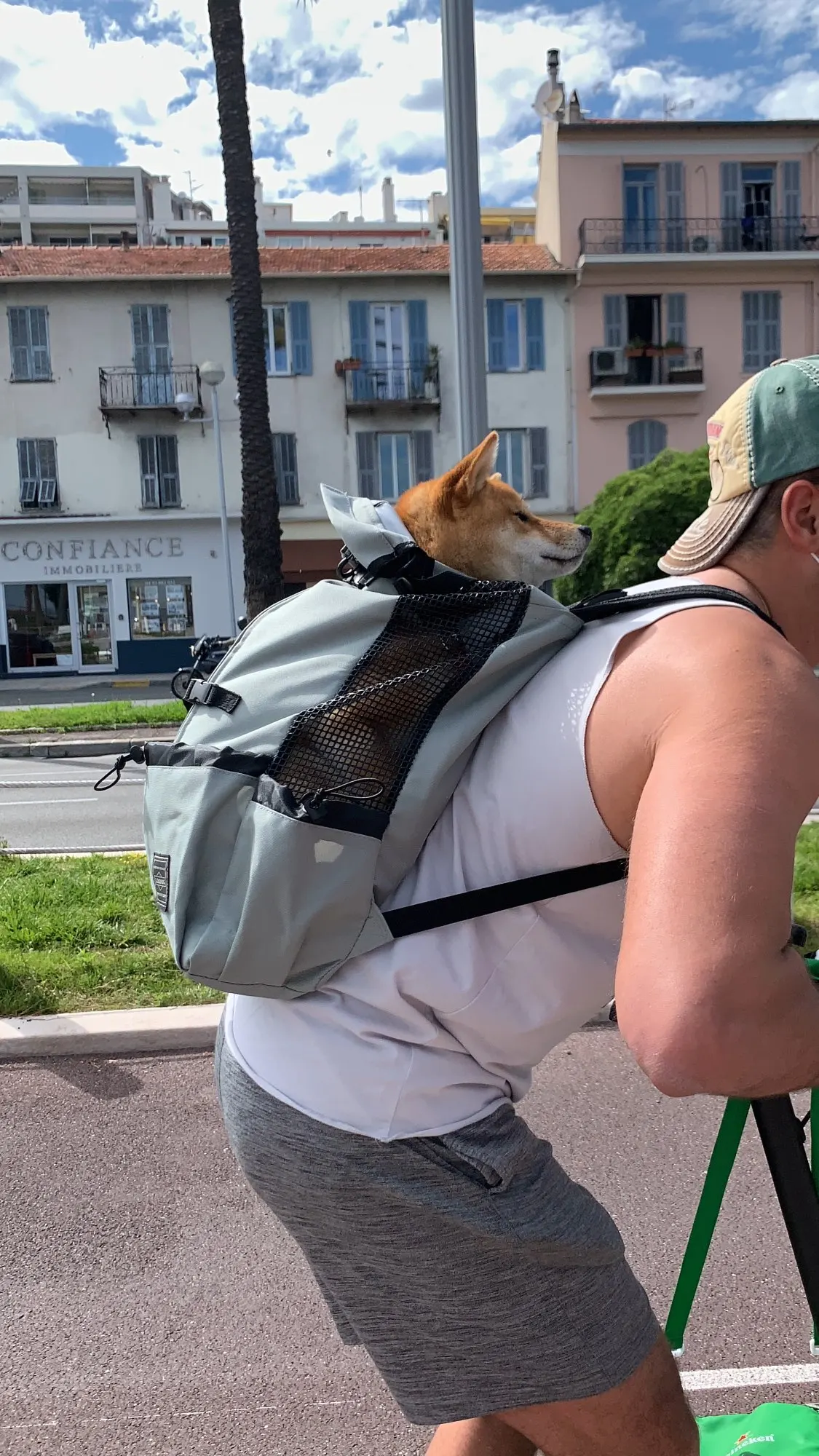 DogMEGA Dog Carrier Backpack 60 lbs Large Dog Carrier Backpack Dog