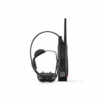 

GARMIN PRO 550 PLUS GPS education training COLLAR with TT15 MINI