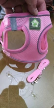Arnés para gato de malla de nailon, chaleco reflectante para perro, conjunto de arnés y correa para Chihuahua, Pug, correa de plomo pequeña y mediana para caminar
