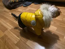 Jacket Bulldog-Clothing Pet-Coat Puppy Dogs Pug Chihuahua French Waterproof Winter Small