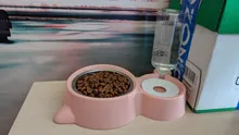 Food-Container Waterer Cat-Bowl Automatic-Water-Storage with Pet-Dog-Cat 2-In-1
