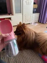 Water-Bottle Feeder Pet-Product Drinking-Bowl Puppy-Cat Dogs Travel Small Outdoor Large