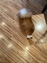 Toy Doll Noise-Maker Repair-Fix Baby 10pcs/Lot Sound-Insert-Replacement Pet-Dog 35mm