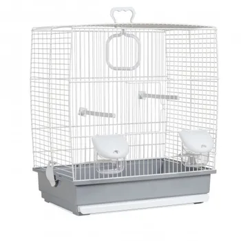 

Cage Lovebirds Elisa Grey