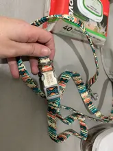Collar personalizado impreso para mascotas, Collar de nailon para perro, personalizado, grabado gratis, Collar de nombre de cachorro, para perros pequeños, medianos, grandes, Pug