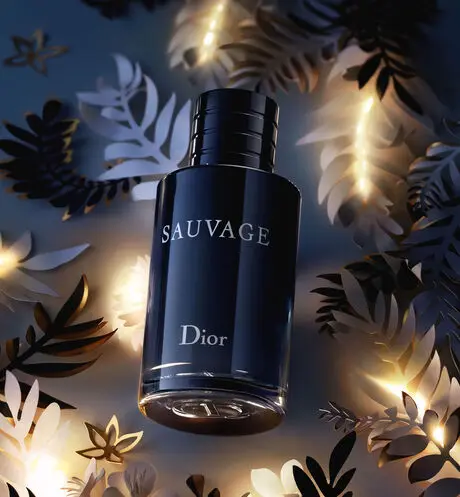 Парфюмерная вода CHRISTIAN DIOR SAUVAGE Мужская 100 mlДухи женские  брендовые духи мужские парфюм для женщин perfume туалетная в | Красота и  здоровье | АлиЭкспресс