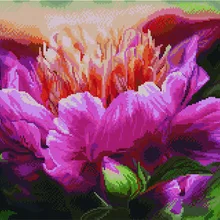 Алмазная мозаика APK 26029 Цветочная фантазия 40*50 Эксклюзив