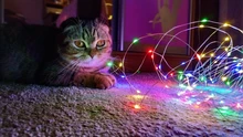 Light-String Garland Copper-Wire-Lights Battery-Power Festoon Fairy LED Christmas Wedding