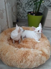 Bed-Mat Blanket House Cushion Accessori Kennel Dog-Bed Dogs Small Pet-Suppies Cats Round