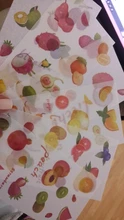 Juego de 6 hojas de pegatinas florales suculentas Kawaii, pegatinas de papelería con animales, libro de diario Diy, diario, etiqueta decorativa