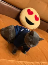 Invierno ropa para gato mascotas ropa de cachorros y perros sudaderas con capucha para pequeño mediano perros gato gatito Kitty trajes gatos abrigos chaquetas trajes