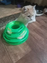 Torre de juguete para gato, torreón de tres niveles con pista de disco y pelota de entrenamiento, plato de diversión, triple, para inteligencia de mascotas