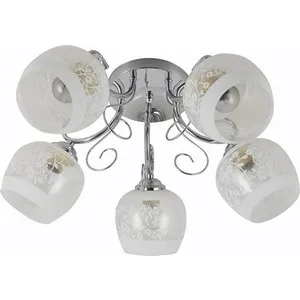 

Ceiling chandelier WeDo light supplier