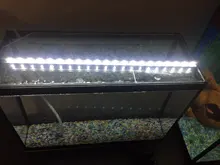 60leds/M Light Lamp String-Decor Led-Strip Luminous-Flux 5050 Smd 3528 2835 5630 Old