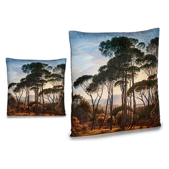 

Cushion Velvet (9,5 x 45 x 45 cm)