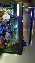 PopBloom-controlador de iluminación para acuario, lámpara de luz Led para acuario, Arrecife de Coral marino, lámpara de cultivo, Turing30