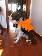 Chaleco salvavidas para perro, chaqueta salvavidas, ropa de baño para perros, traje de baño para mascotas, forma de tiburón