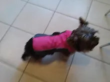 Puppy Jacket Coat Dogs Para Winter Medium Vest Apparel Small Large Warm for Ropa Perros