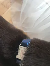 Collar personalizado para mascotas, correa ajustable de material de nailon con placa de identificación y nombre grabado, para gatos y perros medianos y grandes