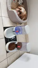 3.8L Pet Cat Automatic Feeders Large Capacity Cat Water Fountain Plastic Dog Water Bottle