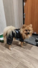Jacket Clothing Puppy Small Dogs Waterproof Winter Overalls Pet-Coat Dog-Jumpsuit Fleece