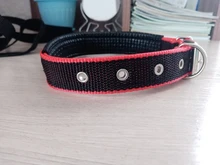 Leash Rope Pet-Collar Wholesale Lined Pet-Supplies Colorful New TECHOME Polypropylene