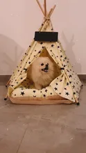 Tipi de Gato con cojín y pizarra para perros, carpa portátil para perros y casas de mascotas, tienda plegable de lona de madera para mascotas, cama para animales pequeños