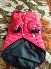 Small Dog Clothes Winter Warm Pet Dogs Coat Jacket Puppy Cat Outdoor Clothing Hoodies