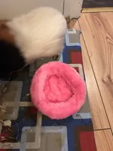 Cage-Mat Pig-Bed Hamster Guinea Pet-Sleeping Small Animal Fleece Winter Dog Soft 5colors