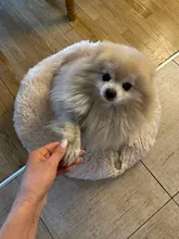 Fluffy Pet Dog Bed Soft Round Dog Long Plush Kennel For Dogs Washable Puppy Cat Bed Cushion