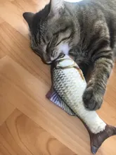 Cheap Pet Products Fish Toy Cat Scratch Board Scratching Post Catnip toys for Cat Pet