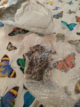 Soporte Universal de teléfono móvil para coche, soporte de 360 grados para salpicadero de coche, sujeción automática, soporte fijo para teléfono móvil