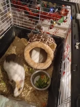 Soft Guinea Pig House Bed Cage for Hamster Mini Animal Mice Rat Nest Bed Hamster House