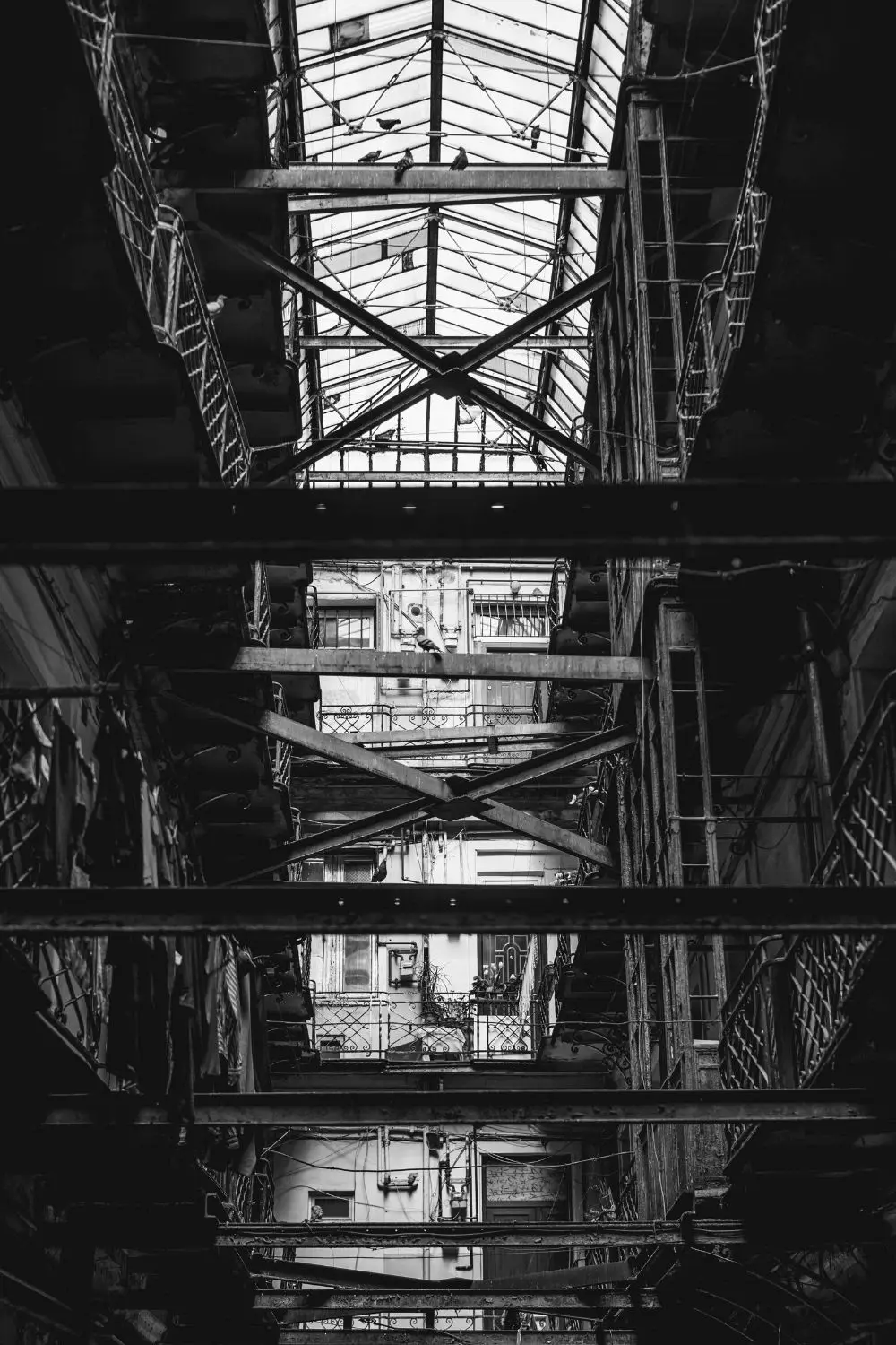 Untitled design (23)