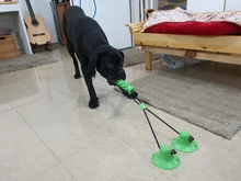 TPR Pet Dog Toy Toothbrush Chew Toy For Dogs Small Large Puppy Toys Sucker Toys Teething