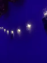 Led-Light Photo-Clip Battery-Powered Garland Led Christmas Outdoor Wedding 10M 5M 2M